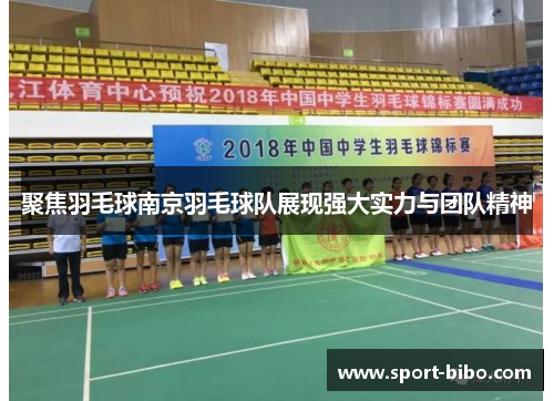 聚焦羽毛球南京羽毛球队展现强大实力与团队精神