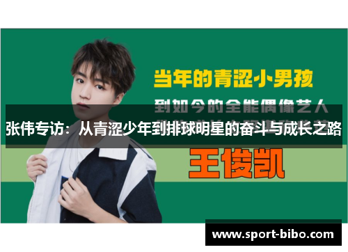 张伟专访：从青涩少年到排球明星的奋斗与成长之路