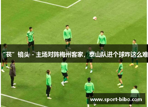 “苌”镜头 - 主场对阵梅州客家，泰山队进个球咋这么难？